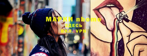 спиды Ельня