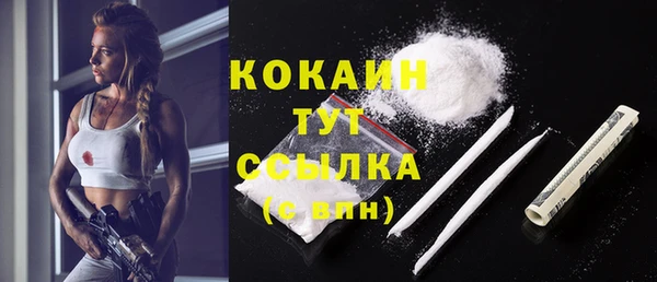 спиды Ельня