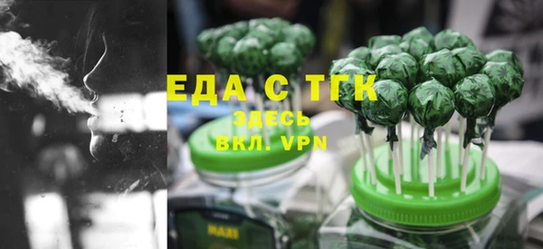 спиды Ельня