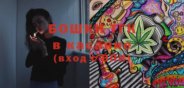 спиды Ельня