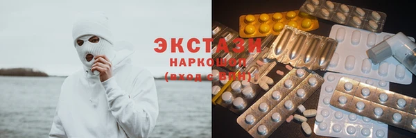 спиды Ельня