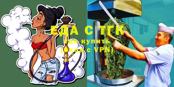 спиды Ельня