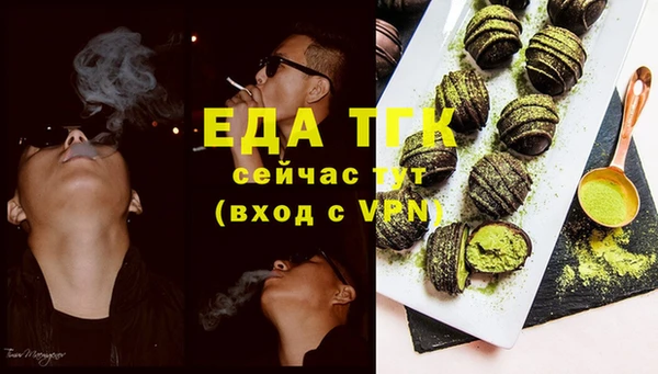 спиды Ельня
