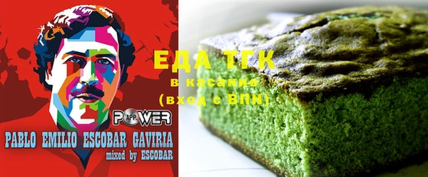 спиды Ельня