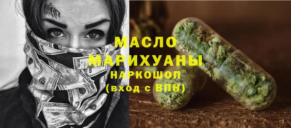 спиды Ельня