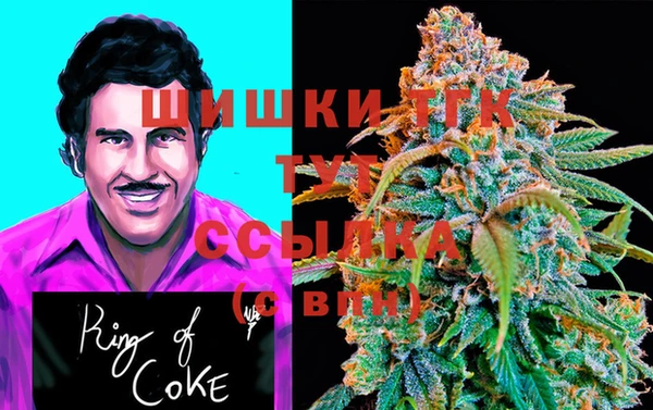 спиды Ельня