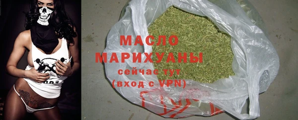 спиды Ельня