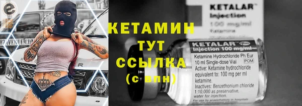 спиды Ельня