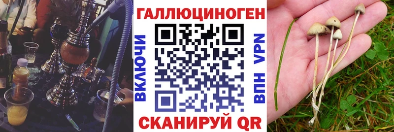 Галлюциногенные грибы Cubensis  гидра сайт  Кедровый  дарнет шоп 